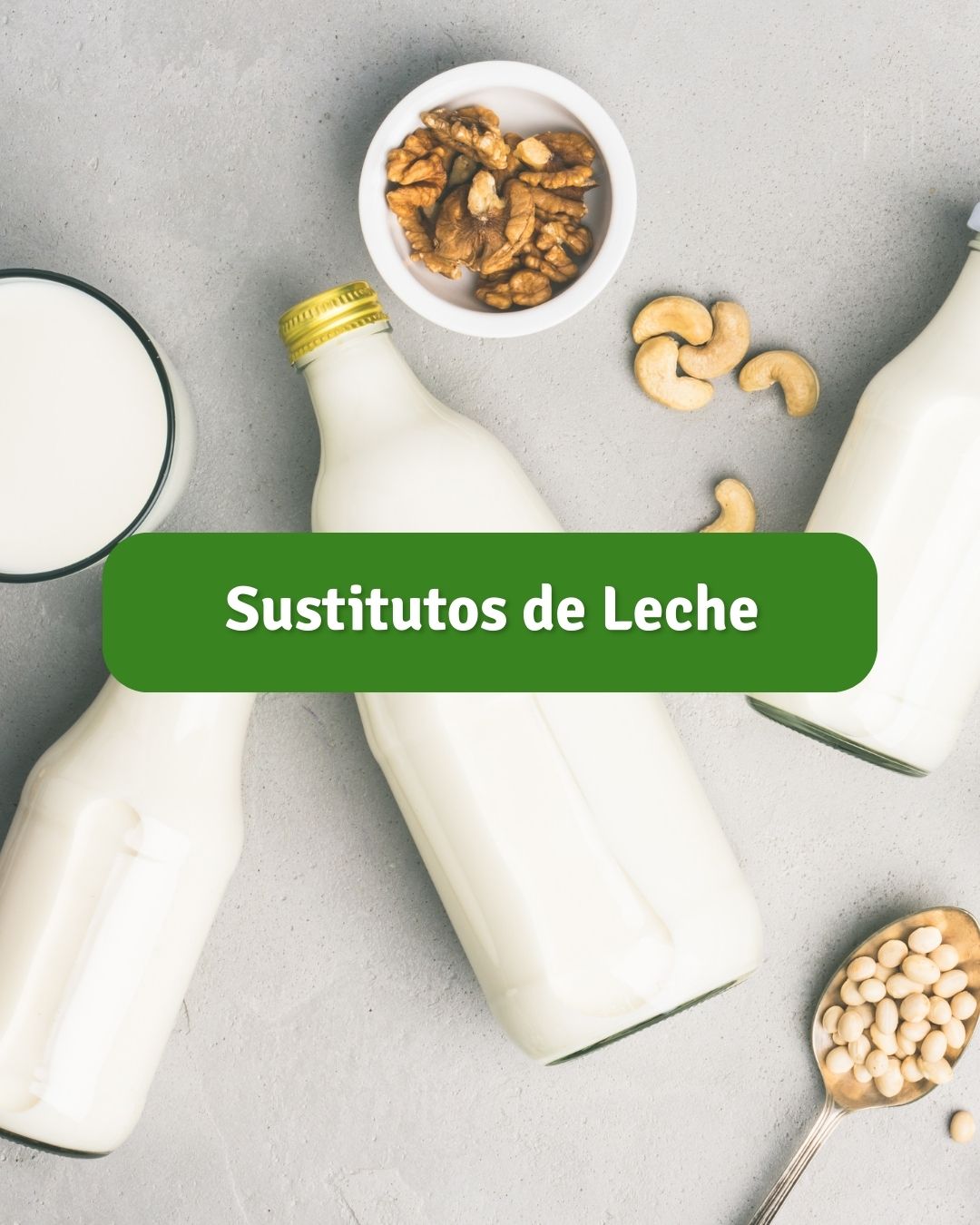 Sustitutos de Leche