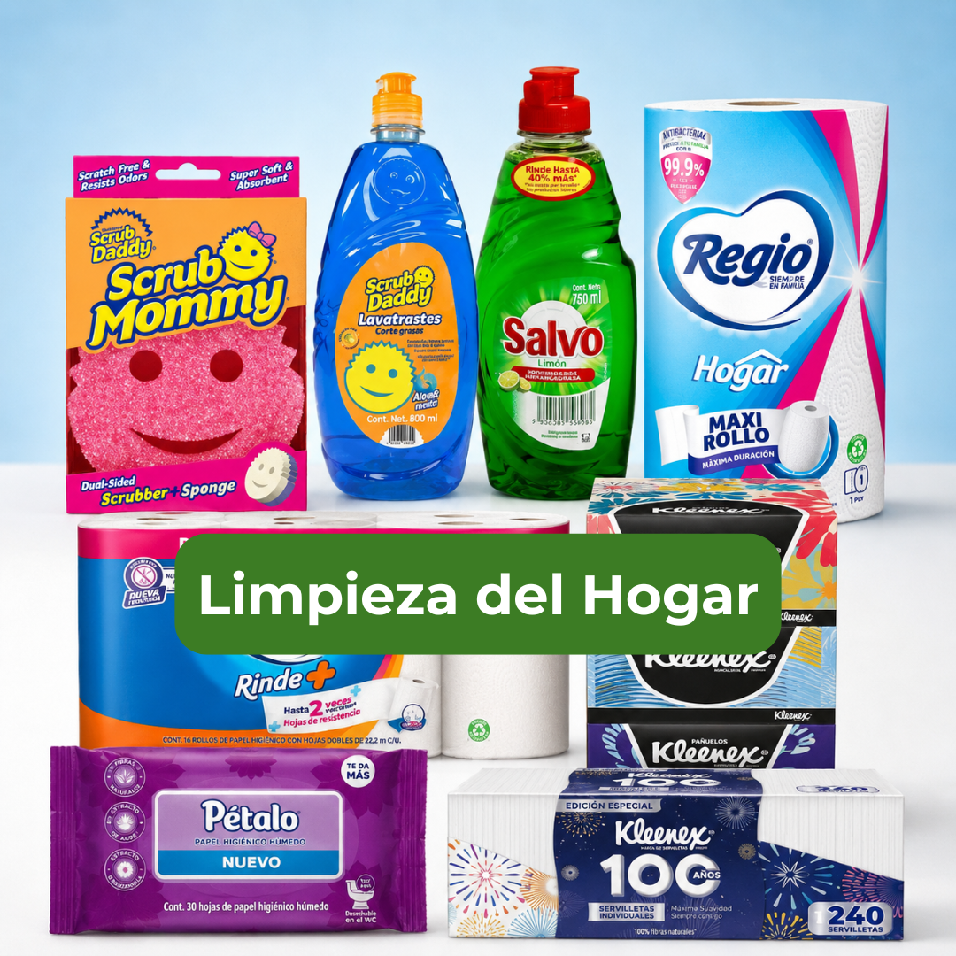 Limpieza del Hogar