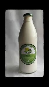 Chobani Yogurt Griego-Coco