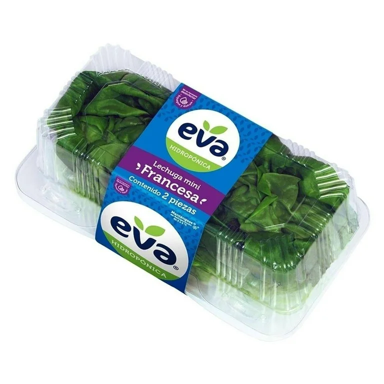 Lechuga mini francesa Eva hidropónica 2 piezas