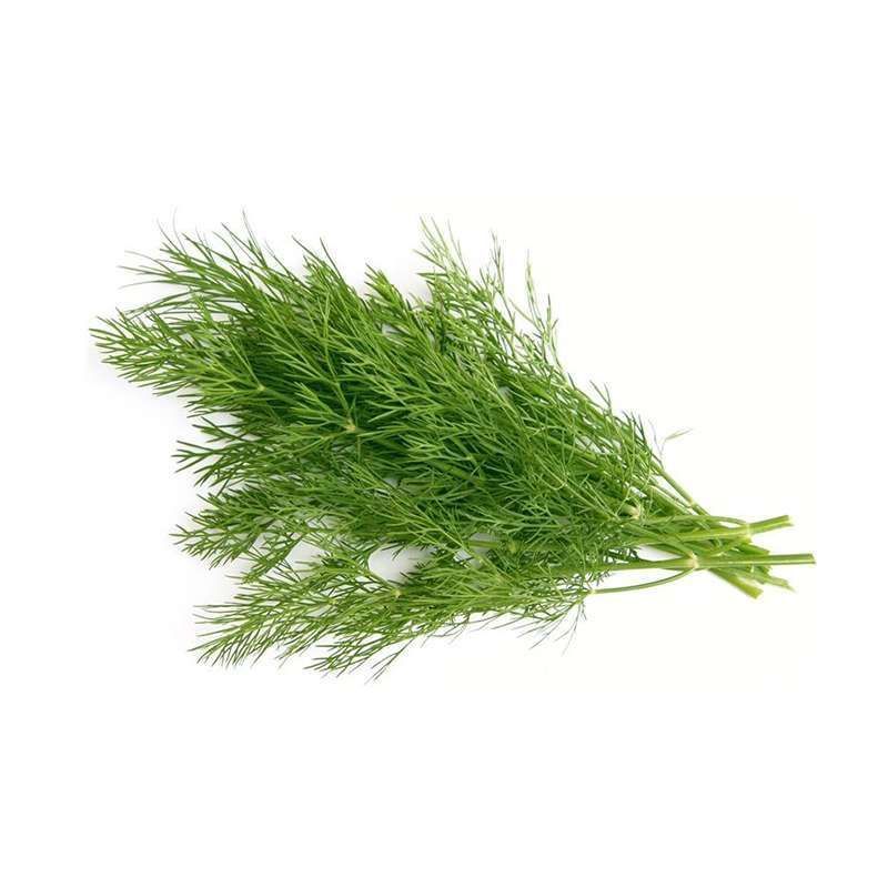 Eneldo/Hinojo Granel 1 pz