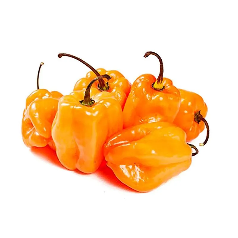 Chile Habanero Naranja por Kilo