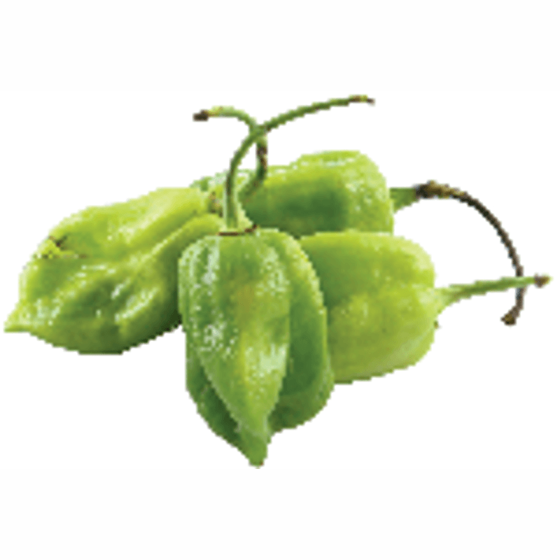 Chile Habanero por kilo