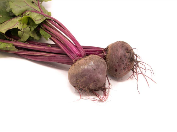 Manjo de Betabel 1 pz