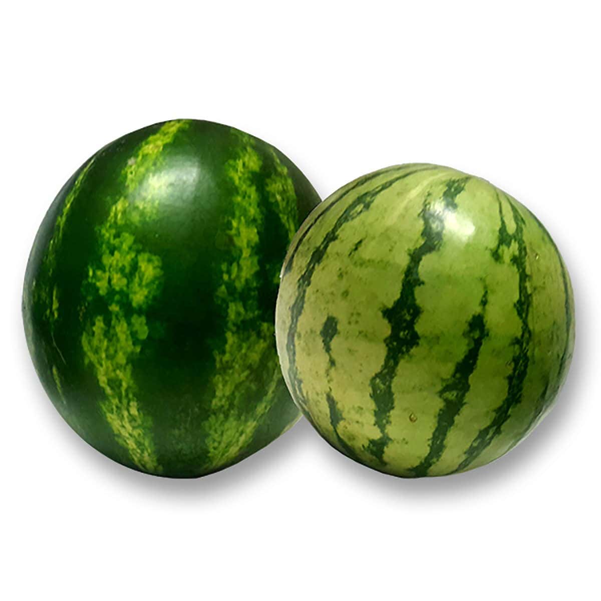 Sandia Banbino 1 Kg