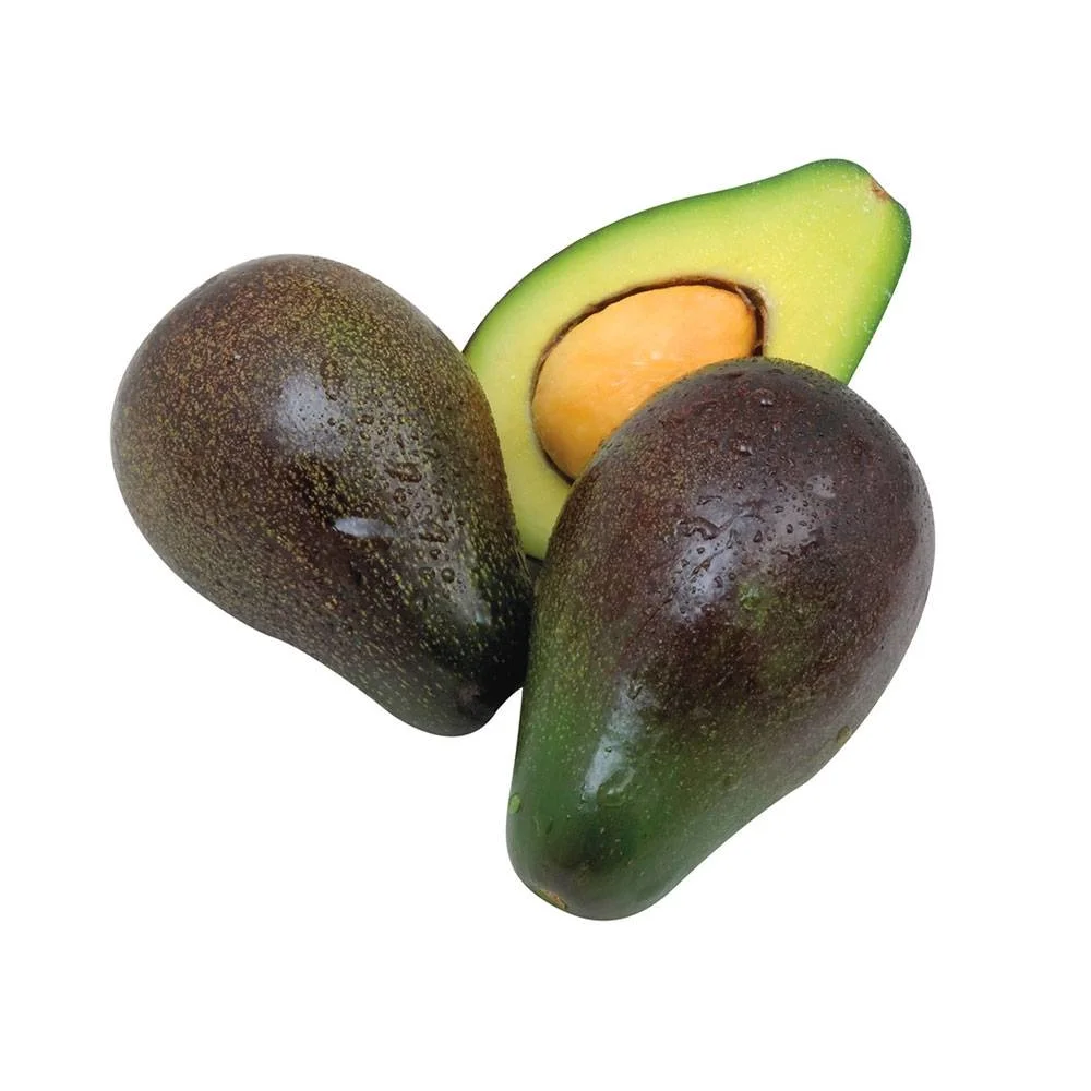 Aguacate Criollo