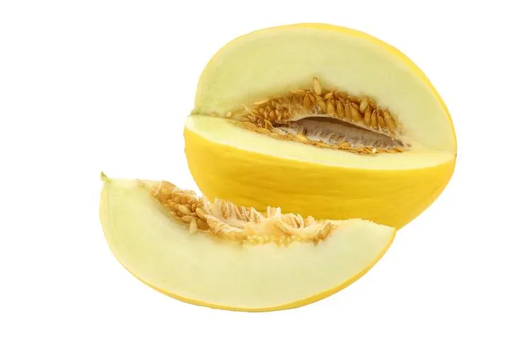 Melon Golden Honetdew